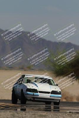 media/Oct-12-2025-Lucky Dog Racing (Sun) [[8adb5568ea]]/3-Third    Stint/4-Turn 4 (Tree of Life)/